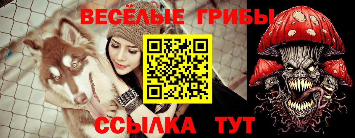Псилоцибиновые грибы Magic Shrooms Ростов Великий